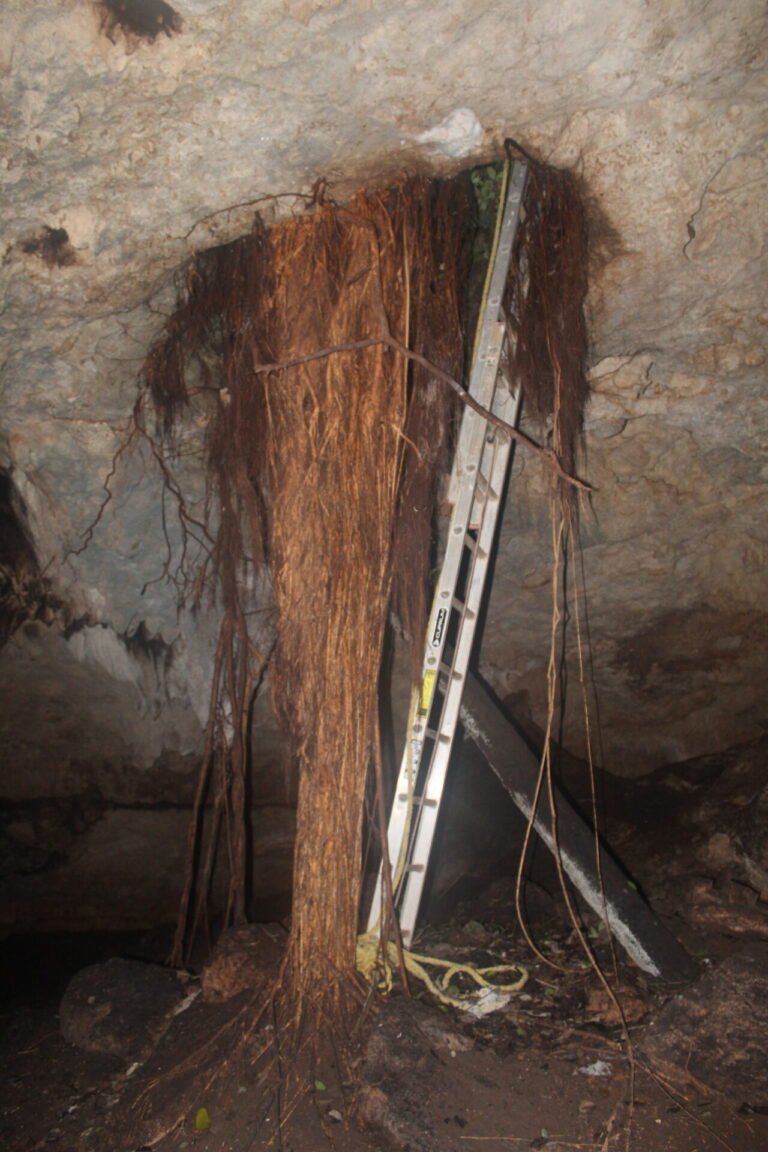 Entrada de la caverna con escalera de aluminio durante una visita