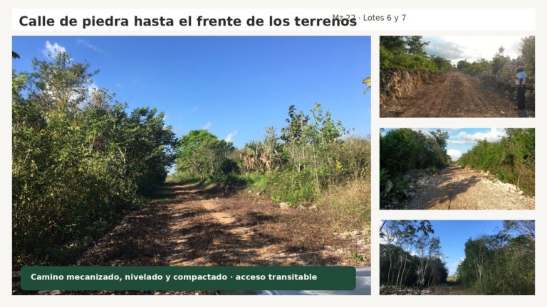 Calle de piedra compactada frente a los lotes 6 y 7 de la Manzana 22 en Héroes de Nacozari